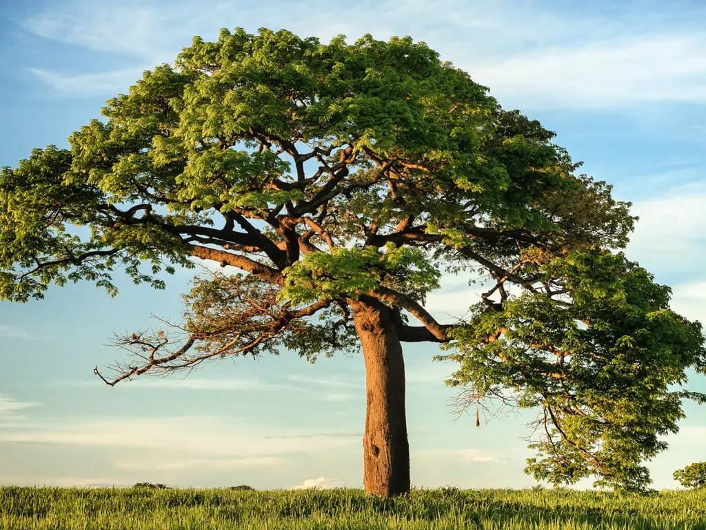 Aeternum Care residential facility common area