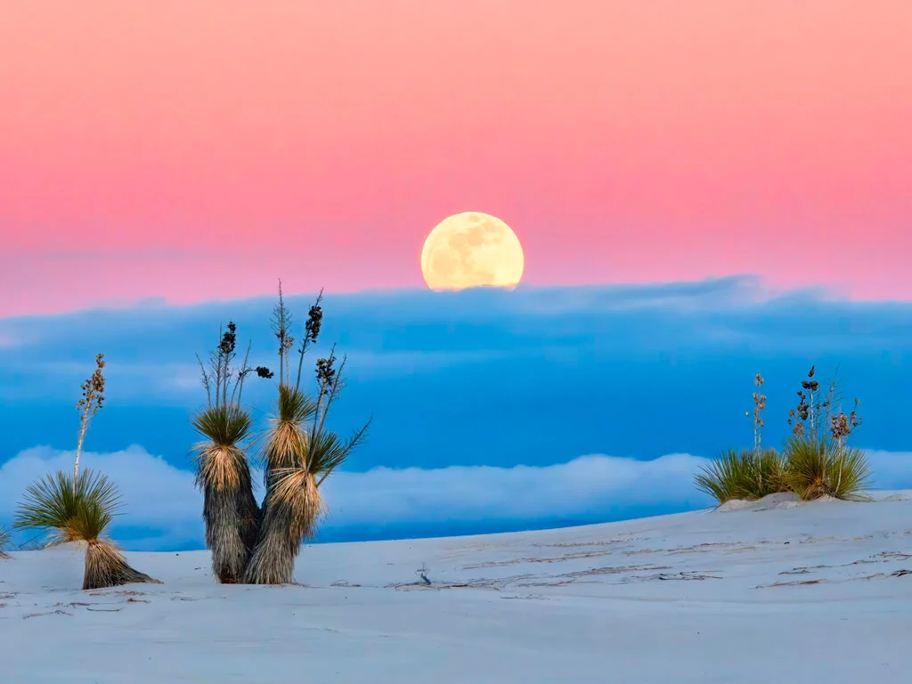 Welcoming residential environment